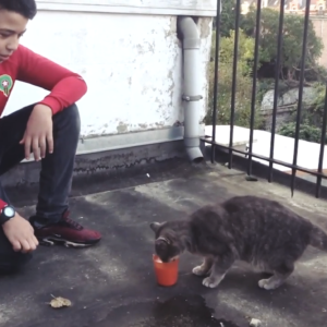 Histoire d’amour – Miks